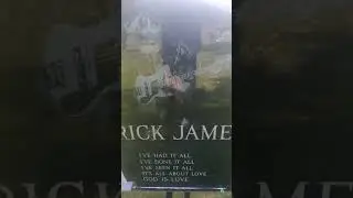 Rick James burial ground Forest lawn cemetery Buffalo New York