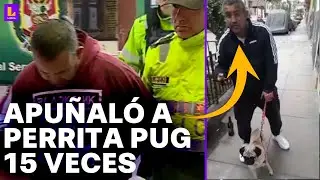 Sujeto apu&ntilde;al&oacute; 15 veces a perrita pug en La Victoria: Puede recibir entre 3 a 5 a&ntilde;os de c&aacute;rcel