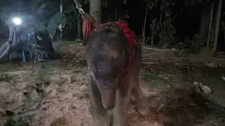 แม่นิโคลคลอดแล้วจร้าได้ชาย