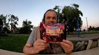 Selena Gomez Oreo Cookies Limited Edition Review + Briff History 