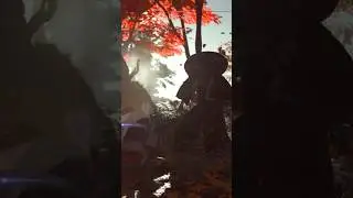 Duel under Autumn Leaves Ghost of Tsushima #gaming #ghost #duel