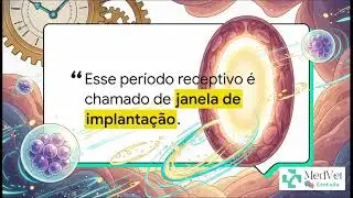Embriog&ecirc;nese Inicial e Mecanismos da Implanta&ccedil;&atilde;o Uterina