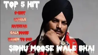 Sidhu Moosewala top 5 Hit Song slowed reverb #legend #levels #hathiraja #slowedandreverb #trending