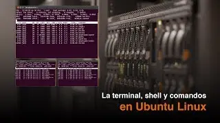 La terminal, el shell y comandos basicos de linux