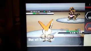 Victini Only Run : Gym Leader Clay