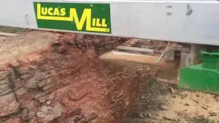 Slabbing a Western Australian Marri Tree with a 7-23 Lucas Mill