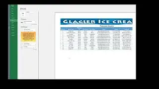 Excel Print a section of the worksheet