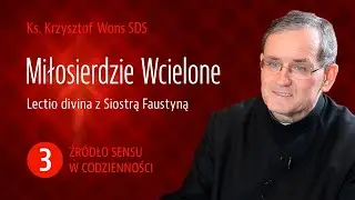 ks. dr Krzysztof Wons SDS | Miłosierdzie Wcielone | Źródło sensu w codzienności – Cz. 3