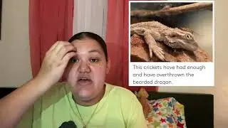 Reviewing Bearded dragon Memes! (Part 1) *HORRIBLE PICTURES* Smh 🤦&zwj;♀️🤯😡