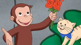 O Que &eacute; uma Alergia? 🐵 George, o Curioso 🐵 Desenhos Animados