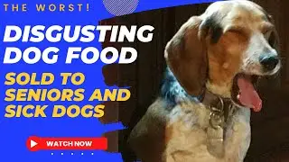 Royal Canin - Worst Dog Food for Your Senior Dog