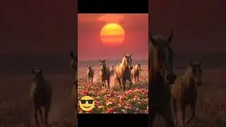 outstandingrace 😂#funny #ai#beautiful #horse kanni penne #song #ytshorts #shorts @Vetriththamil