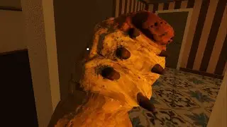 This is disgusting - Pet Sitting