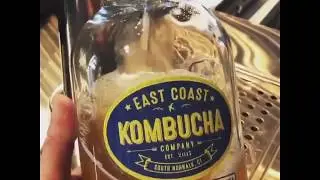 Kombucha fresh from the tap