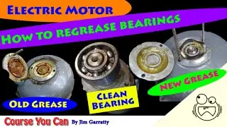 Grease Motor Bearings