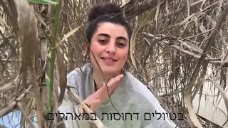 שמיניתש