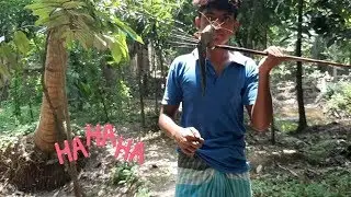 Amazing Fish Hunting Wild Style Fishing In Village