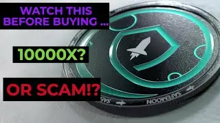 The truth about Safemoon | 10,000% return or SCAM?! | Crypto Exposed