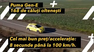 168 de căluți oltenești. P&acirc;nă unde te duc si cu ce preț? Scurta evaluare Puma Gen-E