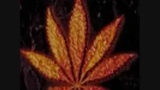 Black Uhuru Here Comes Black Uhuru live