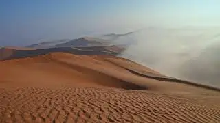 Is This Real Life? ☁️ Desert Fog Phenomenon 🏜️