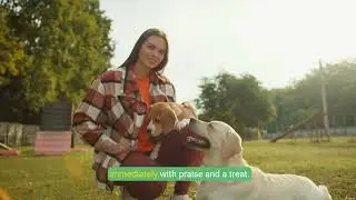 Teach Your Dog to Bark on Command  Fun Training Guide!