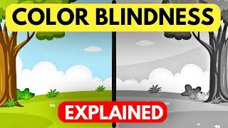 What is Color Blindness? Explained with Animations