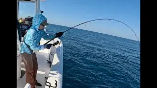 Christmas 2025 in the Gulf