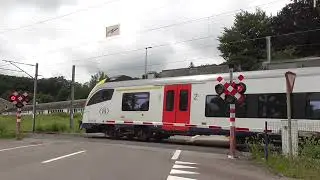 Passage a Niveau Vielsalm/ Spoorwegovergang/ Railroad-/ Level Crossing/ Bahn&uuml;bergang