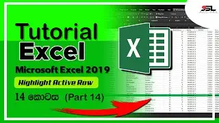 How to Highlight the Active Row in Microsoft Excel | Row Highlight | 224