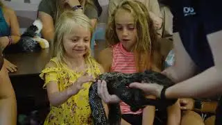Zoo Ecomuseum - Saison estivale