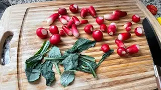 From Seed to Harvest: Root Vegetables