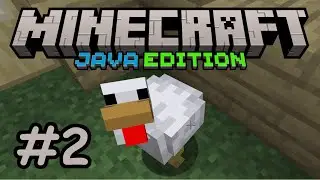 Pollame abusivo - Minecraft Java Edition - 2 - PC - Gameplay ITA
