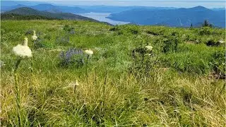 Chilco Mountain
