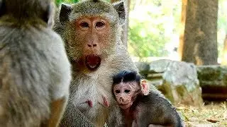 Omg!! Mom Marria Super Angry Screaming To Baby Maci, Maci Scare Cry Loudly.
