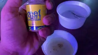 Reef Chili Coral Food #bangla 