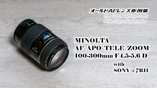 オールドAFレンズ作例集 Collection of examples『MINOLTA AF APO TELE ZOOM 100-300mm F4.5-5.6 D』with SONY α7RⅡ