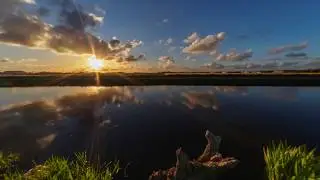 [TIMELAPSE] Sunset between the flower fields