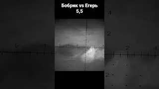 Бобрик vs  Егерь 5,5
