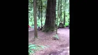 Camping at Gold Basin (Aug. 2011)