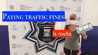 What to do when the police take your license plate
