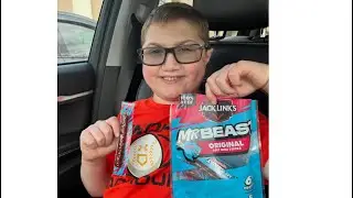 Mr. Beast Beef Mini Sticks Review