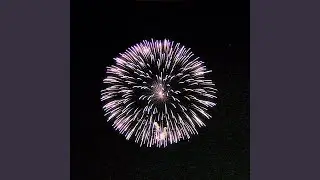 Pyrotechnics (feat. bliss & Marsxsins)
