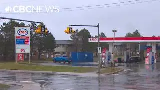 How much did gas prices drop after carbon tax removal?