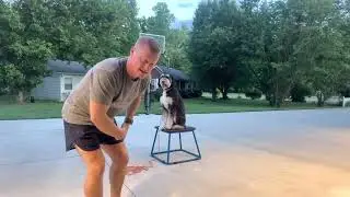 Lucy Day 2- working on a solid &ldquo;sit&rdquo;