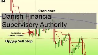 Danish Financial Supervisory Authority