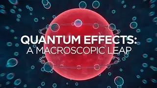 Quantum Effects: A Macroscopic Leap