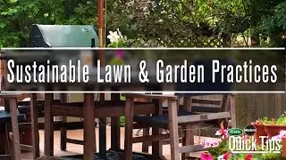 Sustainable Gardening Tips | Scotts Miracle-Gro Canada