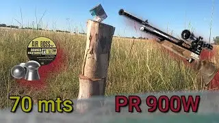 PR 900 - Tiros a 50 y 70 mts - 18 grains a 200 bares