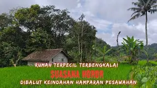 Suasana Pedesaan‼️Rumah Terpencil Terbengkalai di Tengah Sawah Indah dan Perbukitan.